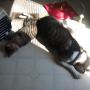 Kathy Kerr Photo 29