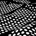 David Bohm Photo 43