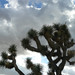 Joshua Doty Photo 38