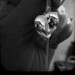 Tiffany Franks Photo 32