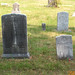Susan Eastman Photo 15