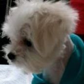 Yi Chuang Photo 9