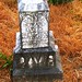 Elizabeth Howard Photo 27
