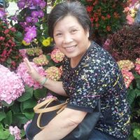 Kam Cheng Photo 9