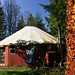 Denise Townsend Photo 36