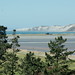 Clifford Campbell Photo 20