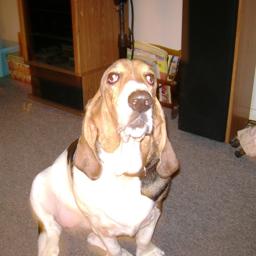 Jim Simon Photo 31