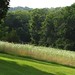 Anne Toth Photo 9