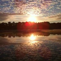 Robert Noyes Photo 15