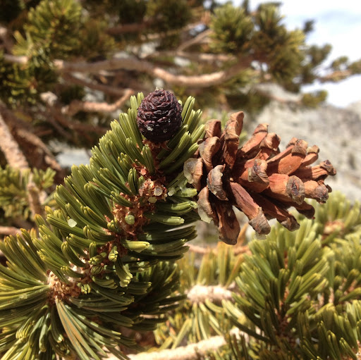 Mary Clapp Photo 28