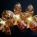 David Lim Photo 12