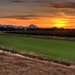 John Sutter Photo 43