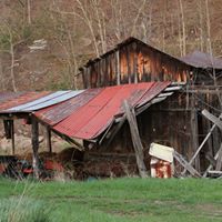 Ann Blanton Photo 6