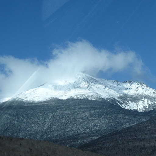 Gail Wood Photo 36