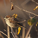 Joy Mayfield Photo 7