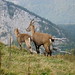 Van Du Photo 19