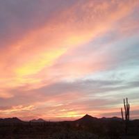 Nancy Lanning Photo 10
