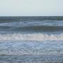 Nancy Conner Photo 40