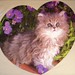 Nancy Matthews Photo 9