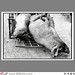 Chung Ho Photo 38
