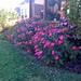 Sherry Heath Photo 14