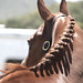 Leah Sorrell Photo 22