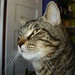 Delores Keys Photo 6