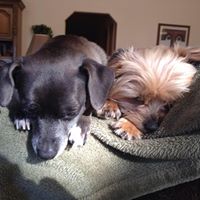 Kathleen Henson Photo 10