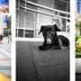 Richard Tran Photo 48