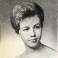 Sandy Collins Photo 20