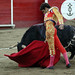 Jose Tamayo Photo 45