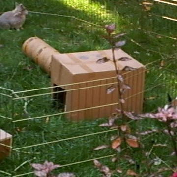 Martha Wilson Photo 27