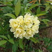 Catherine Minor Photo 29