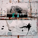 Alexander Waterman Photo 17