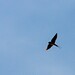 Kent Barker Photo 22