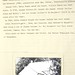 Cora Anderson Photo 35