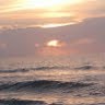 Tracy Langston Photo 18
