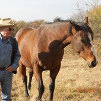 Larry Meek Photo 36