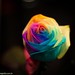 Ester Flores Photo 43
