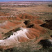 Wade Harris Photo 15