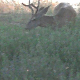 Douglas Hedrick Photo 12