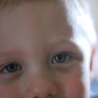 David Mccaffrey Photo 18