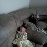 Jon Robison Photo 16