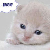 Catherine Chang Photo 37