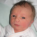 Jacob Mueller Photo 34