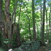 Sandy Grove Photo 14