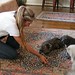 Cheri Law Photo 17