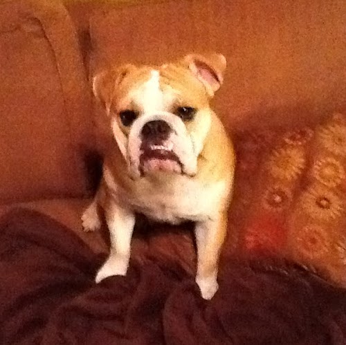 Marla Dunn Photo 3