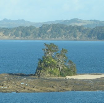Jane Myhre Photo 1