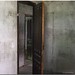 Peter Castellano Photo 27